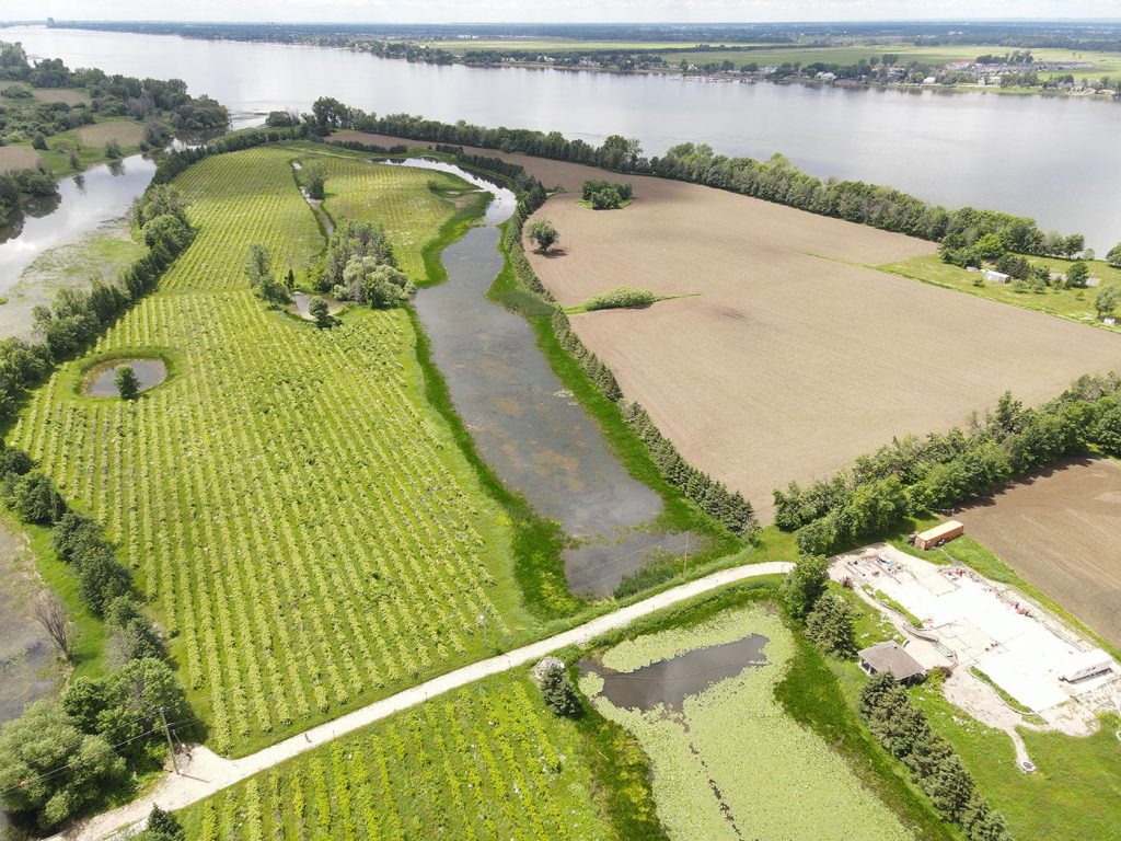 DJI_0105