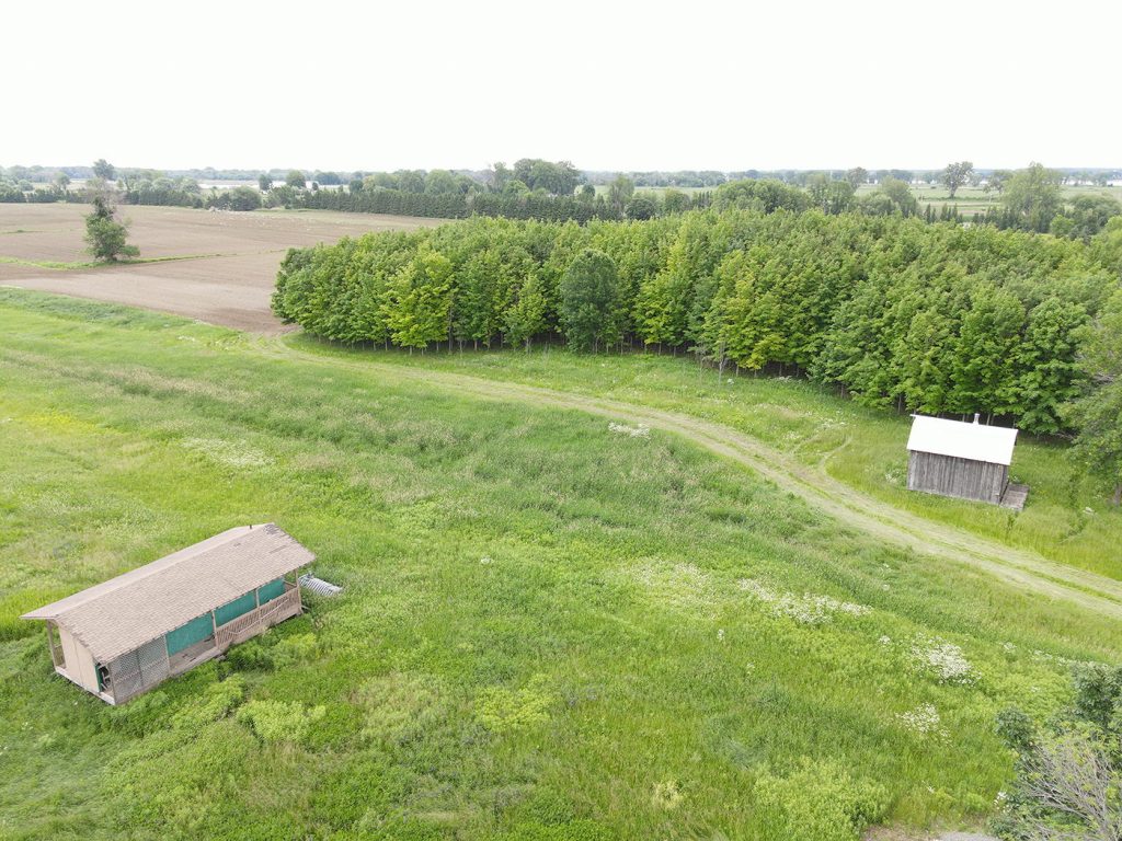 DJI_0120